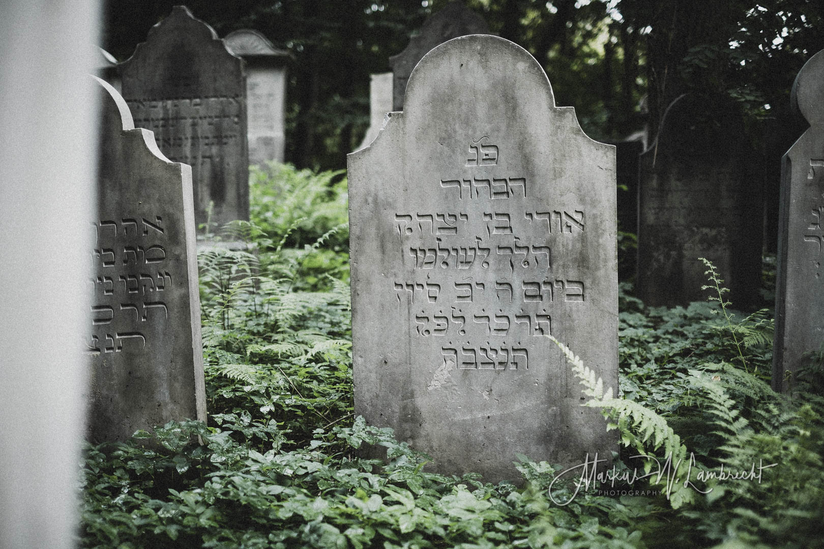 Bückeburg, Jüdischer Friedhof